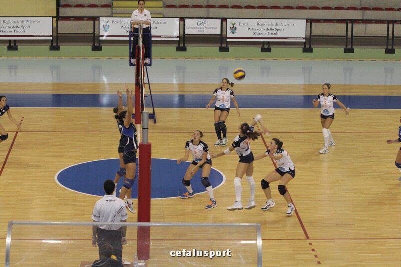 111113 gela 250_tn.jpg